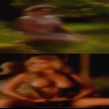 Swingers community