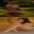 Sluts