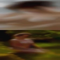 Discreet fuck Knoxville